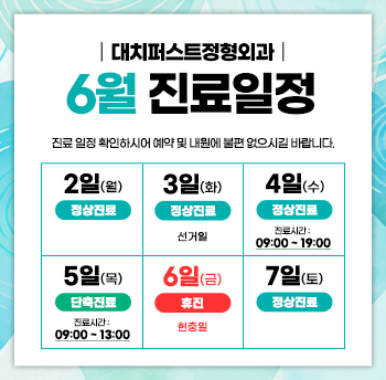 진료일정