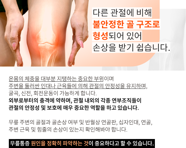 무릎질환