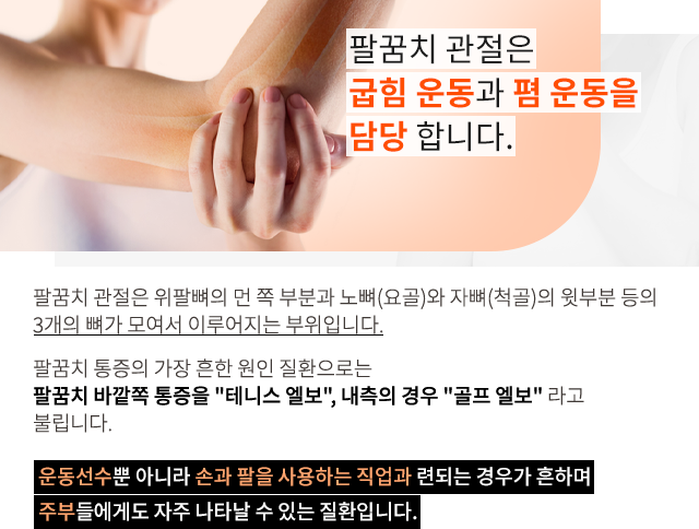 팔꿈치질환