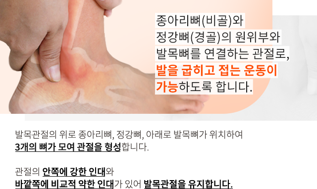 발목질환